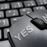 YE BANK IN FOCUS